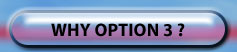 Why Option 3?